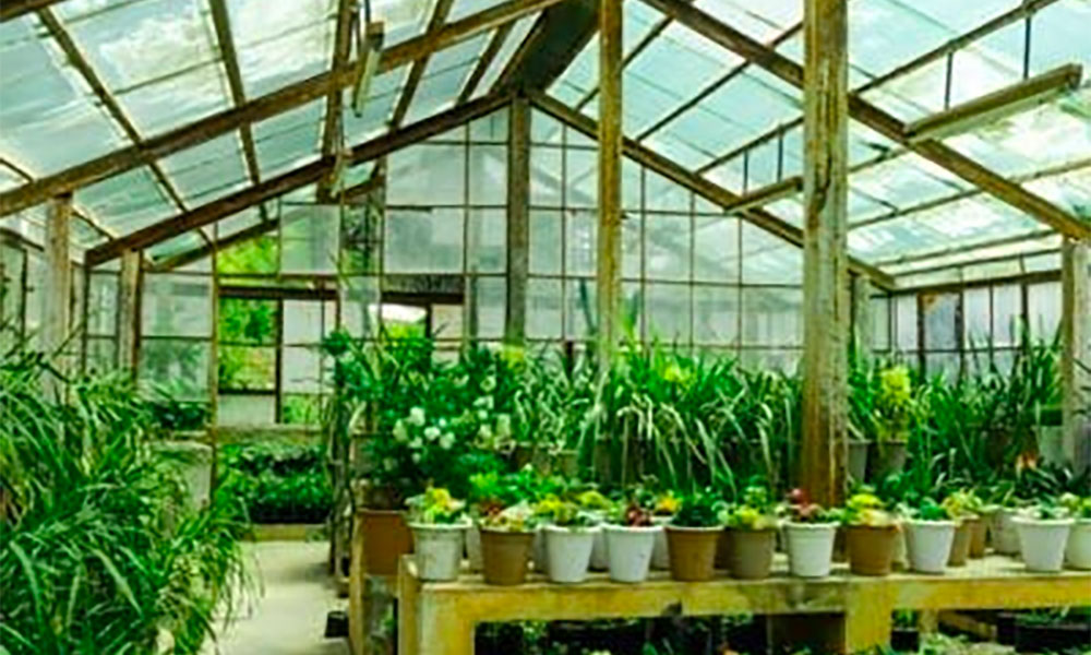 Inovasi Greenhouse Dengan atap Gelombang PET Membuat Tanaman Jadi Sehat